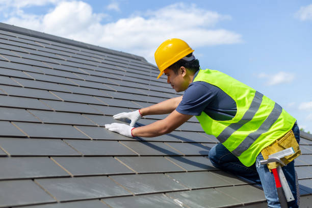 Best Asphalt Shingle Roofing  in Petersburg, AK