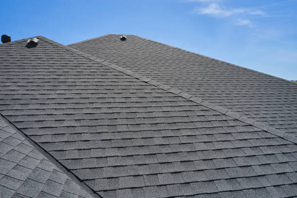 Best Roof Maintenance and Cleaning  in Petersburg, AK